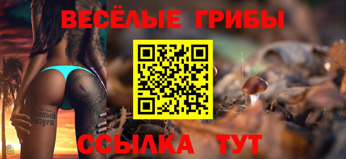 Галлюциногенные грибы MAGIC MUSHROOMS  Псилоцибиновые грибы Cubensis  Соликамск  Вход с VPN 